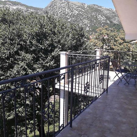 Apartmani Viza ริซาน ภายนอก รูปภาพ
