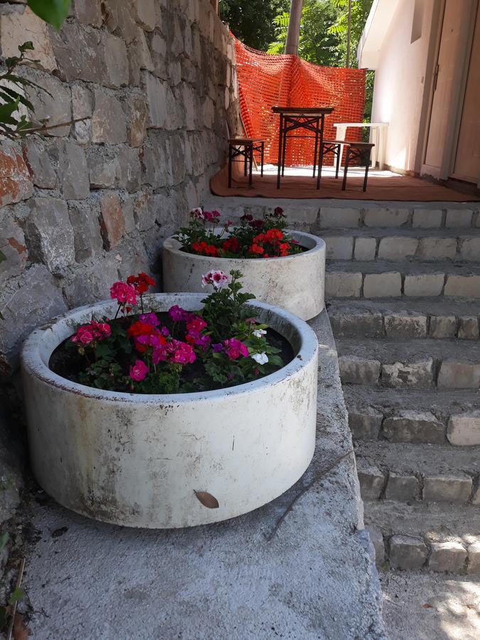 Apartmani Viza ริซาน ภายนอก รูปภาพ